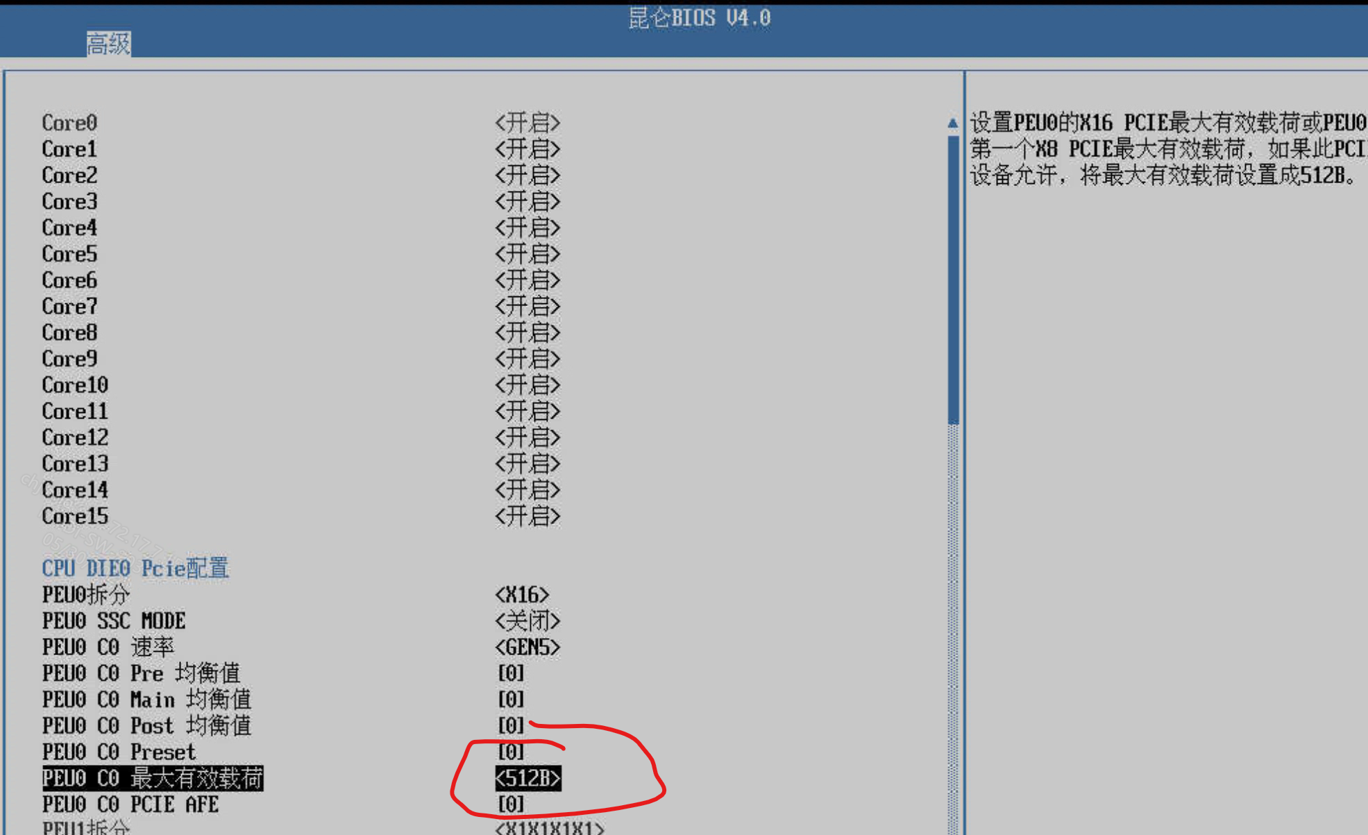 MaxPayload配置